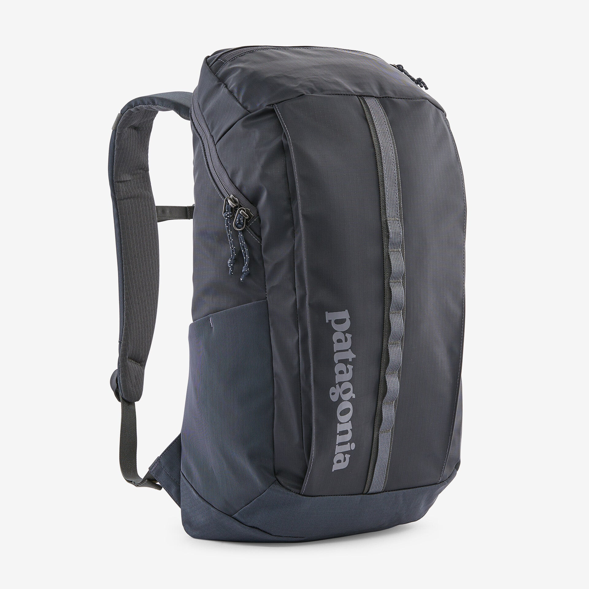 Patagonia black hole sale 30l backpack sale