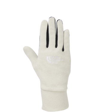 The north face on sale tka 100 gloves