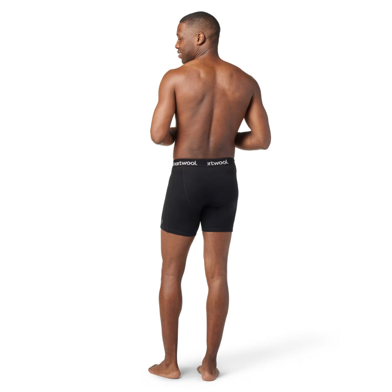 SmartWool Men's Wind Boxer Brief