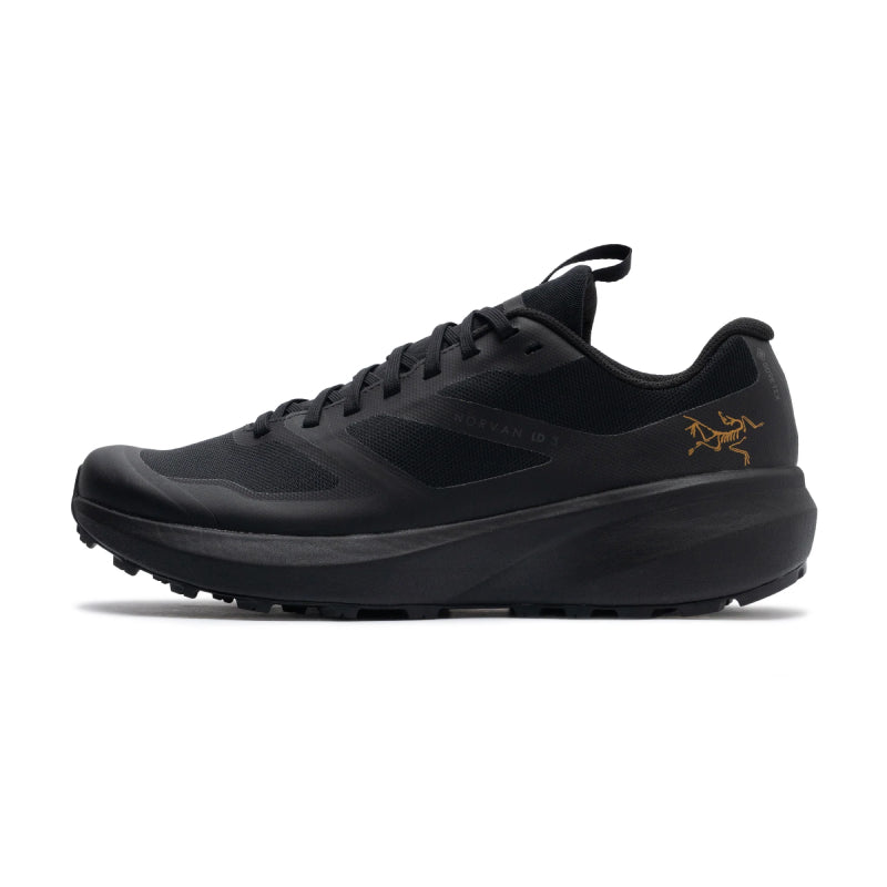 Arc'Teryx Norvan LD 3 GTX Shoe - Men's