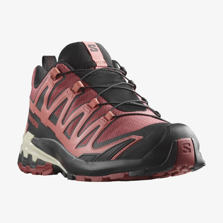 Salomon XA Pro 3D V9 GTX, Chaussures de Randonnée Femme