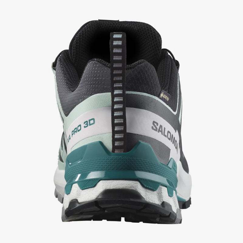 Salomon XA Pro 3D V9 GTX, Chaussures de Randonnée Femme