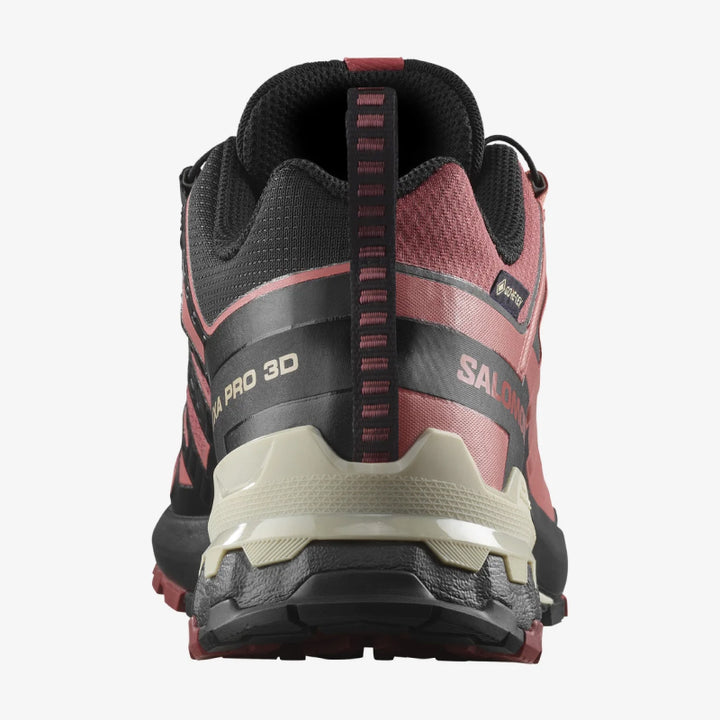 Salomon XA Pro 3D V9 GTX, Chaussures de Randonnée Femme