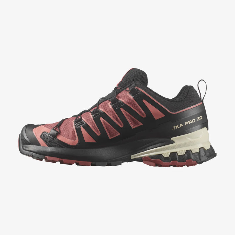 Salomon XA Pro 3D V9 GTX, Chaussures de Randonnée Femme