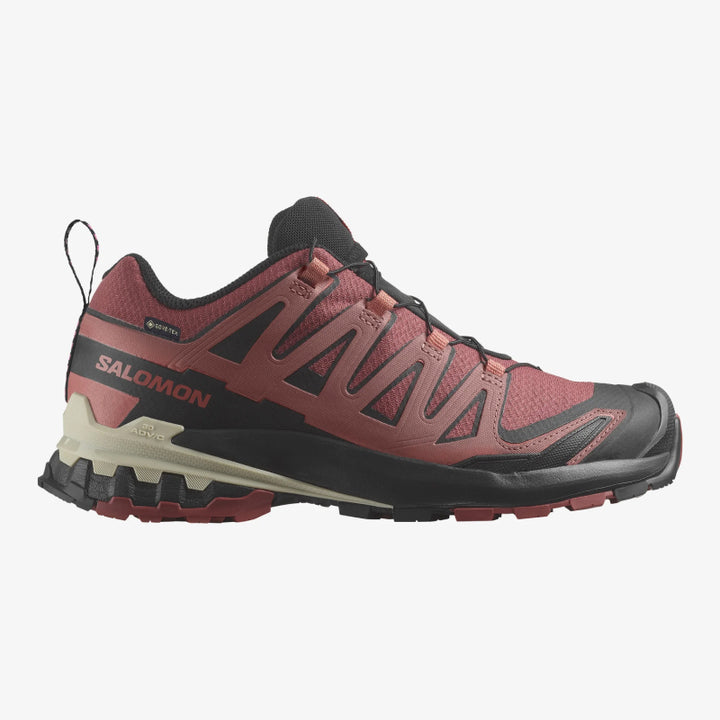 Salomon XA Pro 3D V9 GTX, Chaussures de Randonnée Femme